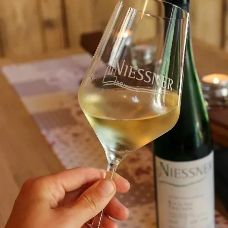 Ferienweingut Niessner Guest house *