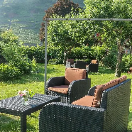 Ferienweingut Niessner Guest house *